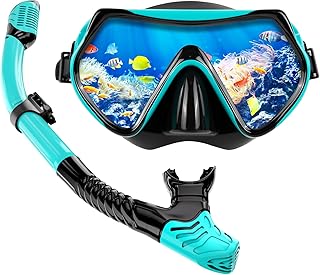 Masque Plongée Adulte 180° Champ de Vision Panoramique HD，Ajustable Masque de Plongée Adulte Professionnel pour Adultes et Jeunes