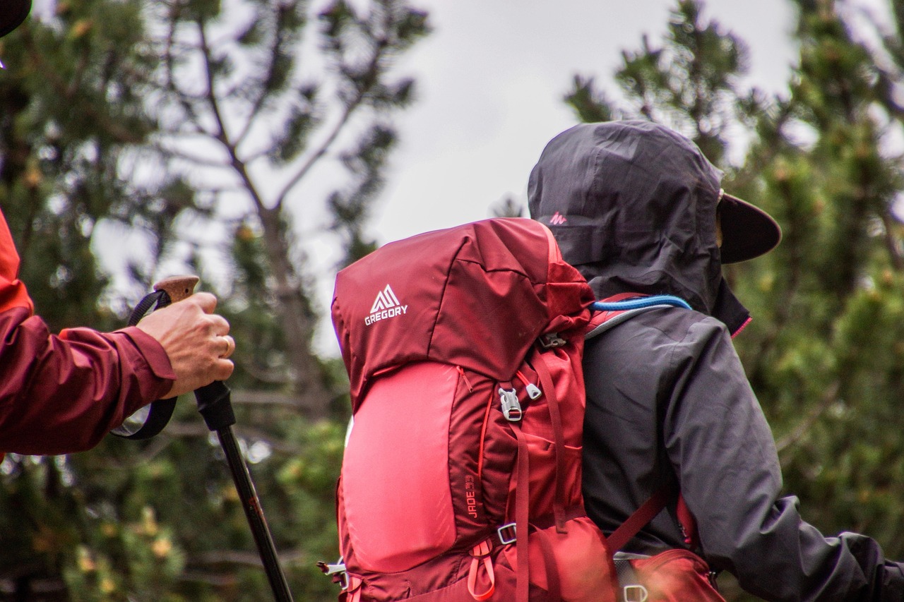 découvrez les meilleurs sentiers de randonnée dans les alpes, pour des aventures inoubliables au cœur de paysages majestueux.