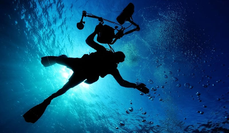 plongée sous-marine aux Maldives : découvrir un paradis aquatique