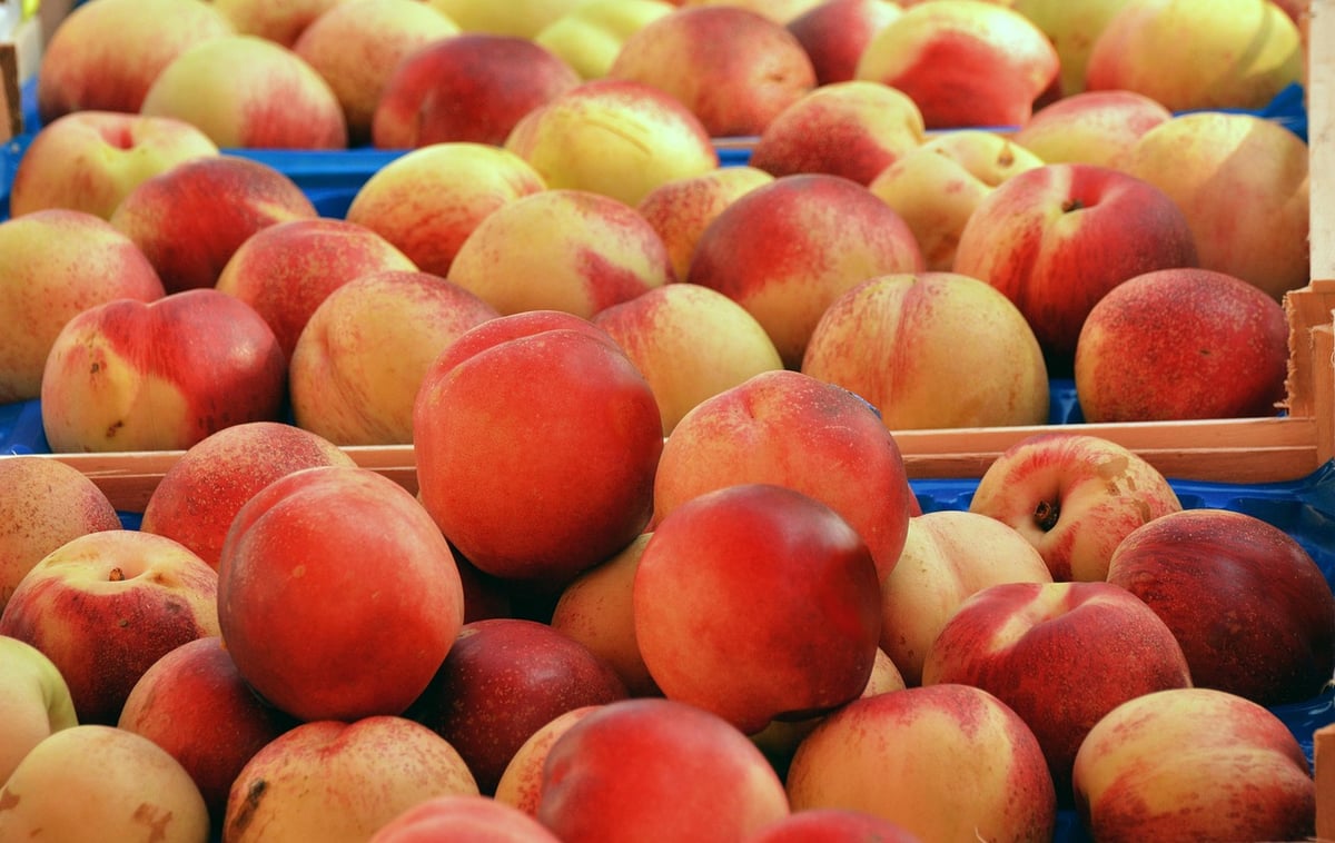 Les meilleurs marchés du monde pour les voyageurs gourmands