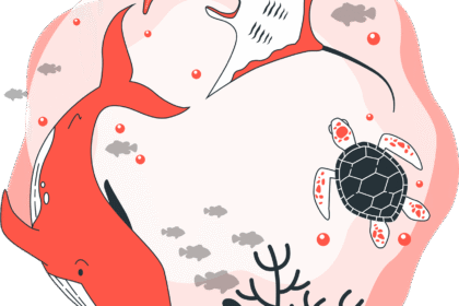 plongez avec les majestueuses raies manta et découvrez une expérience sous-marine unique pleine d'aventure et de beauté naturelle.